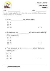 Articles Exercise 8 - Student Worksheet - Worksheet Wizard