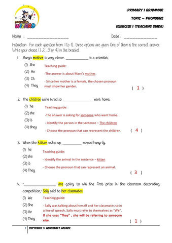 Pronouns Exercise 1 - Answer key and Teaching guide - Worksheet Wizard