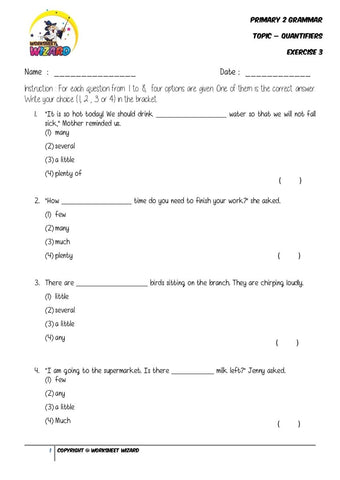 Quantifiers Exercise 3 - Student Worksheet - Worksheet Wizard