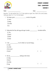 Quantifiers Exercise 4 - Student Worksheet - Worksheet Wizard